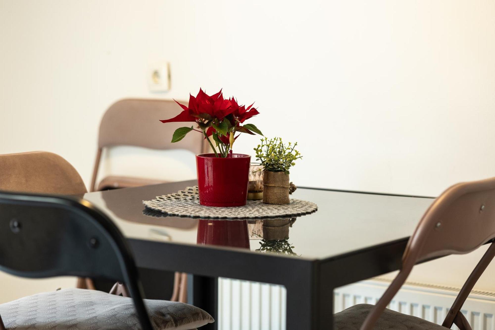 Apartamento Great For Couples Or Small Families Liubliana